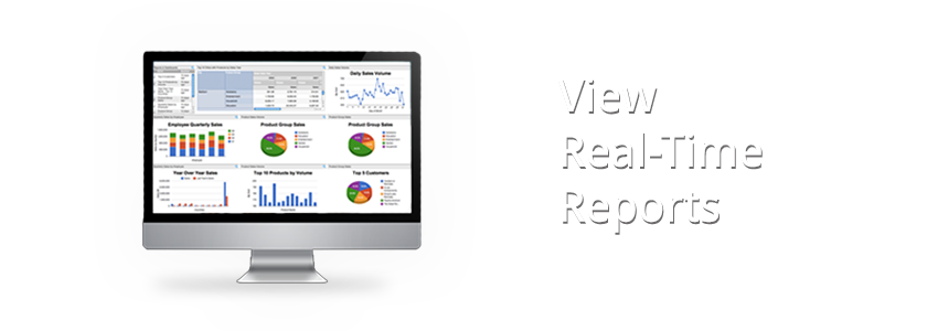View Real-Time Reports